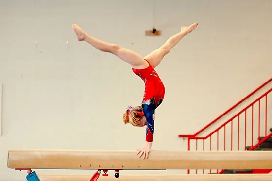 Ginnastica