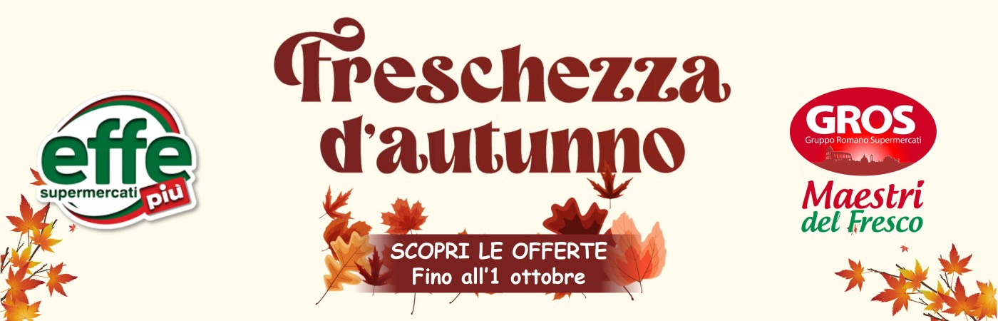 volantino